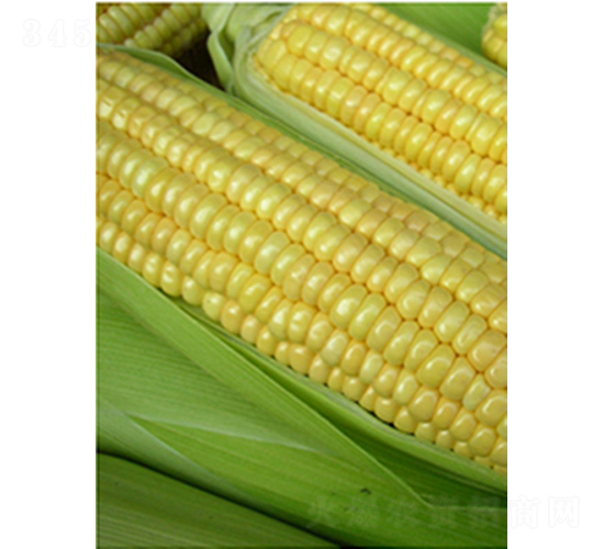 ������308-���׷N��-�r���N��