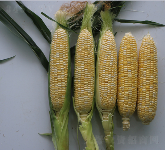 ������148-���׷N��-�r���N��