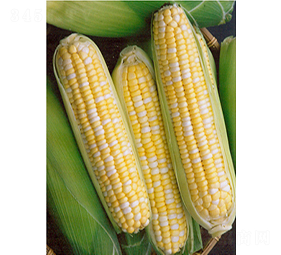 ��������-���׷N��-�r���N��