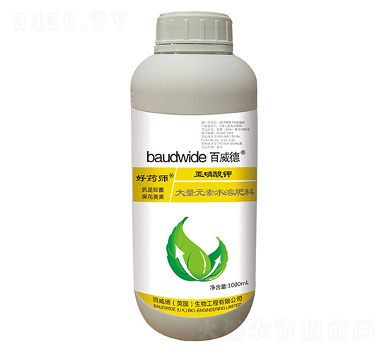 �������-��ˎ��-������