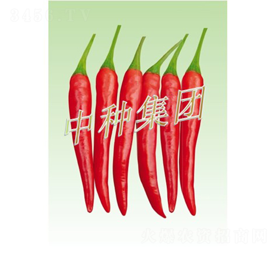 �t��08-�����N��-�зN���F