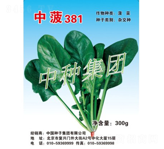 �в�381-���˷N��-�зN���F