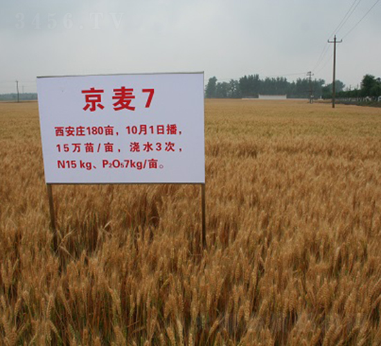 ����7̖(h��o)-С���N��-�зN���F(tu��n)