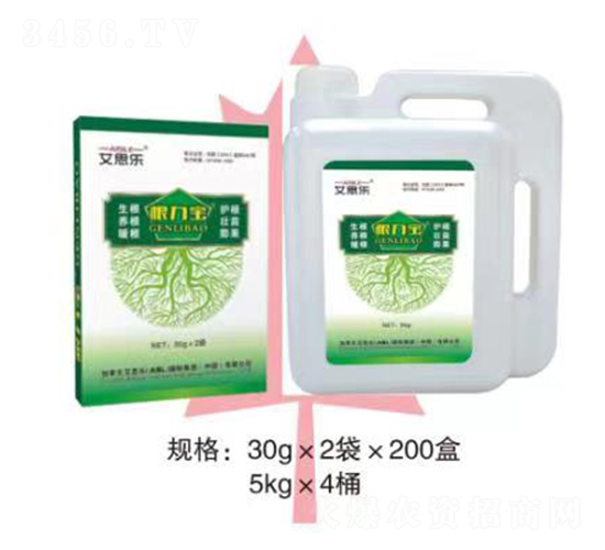 ������-��˼��