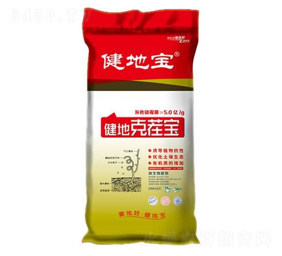 ���ؿ˲猚-���،�