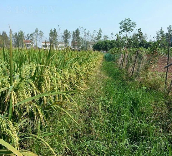 ��9��(y��u)168-ˮ���N��-�зN���F(tu��n)