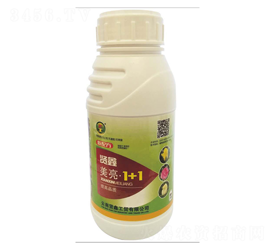 ����1��1-�t��