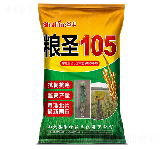 �Zʥ105-С���N��-ʥ�S�N�I(y��)