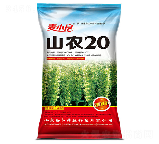 ɽ�r20-С���N��-ʥ�S�N�I(y��)