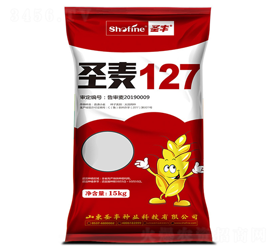 ʥ��127-С���N��-ʥ�S�N�I(y��)