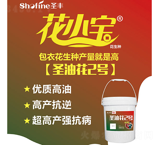 ʥ�ͻ�2̖-�����N��-ʥ�S�N�I(y��)