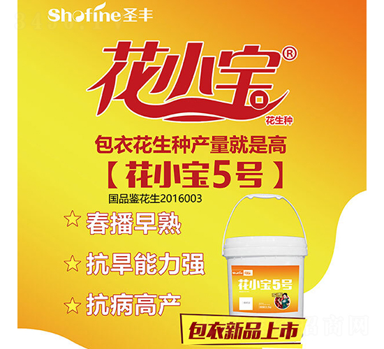 ��С��5̖(h��o)-�����N��-ʥ�S�N�I(y��)