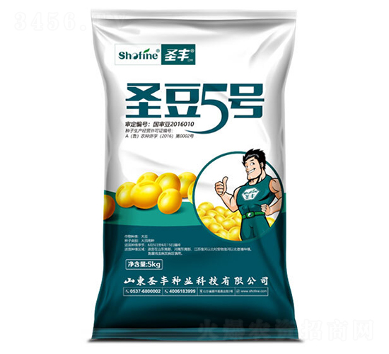 ʥ��5-�󶹷N��-ʥ�S�N�I(y��)