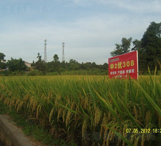 ��2��(y��u)308-ˮ���N��-�зN���F(tu��n)