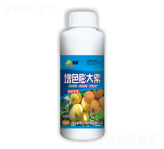 ���t�����-�������