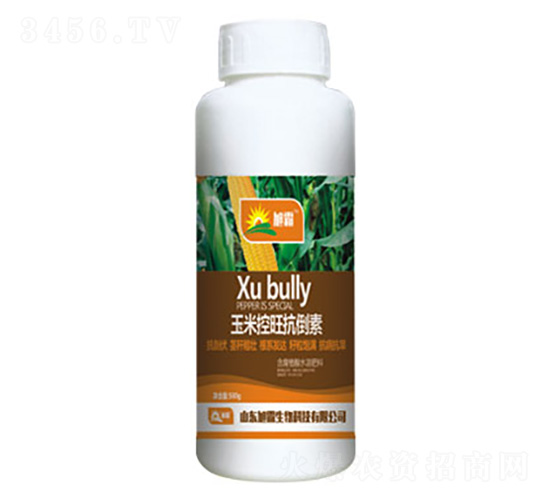 ���׿���������-�������