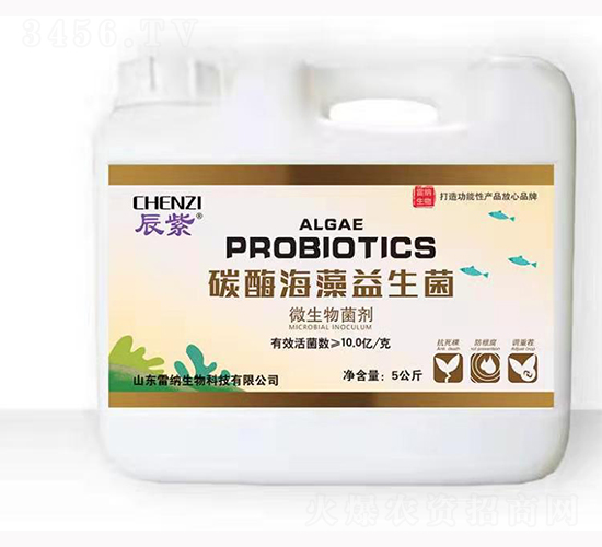 ̼ø����������-�׼{����