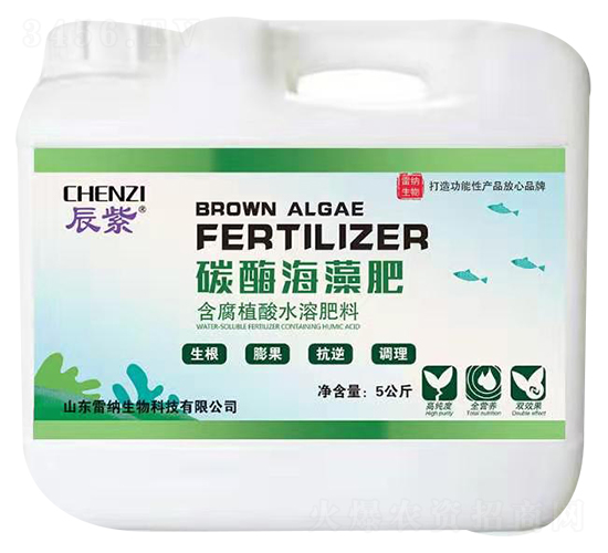 ����̼ø�����-�׼{����