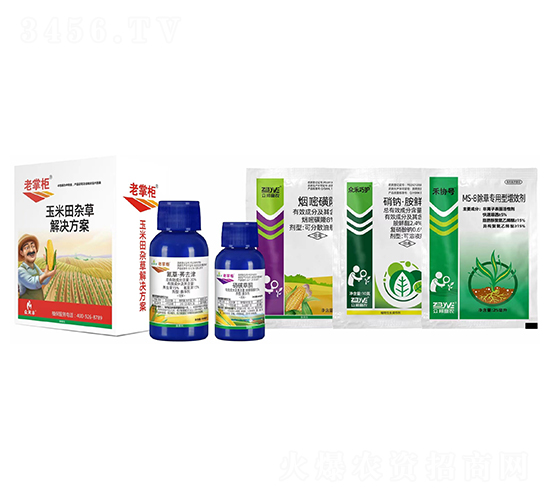 �������s�ݽ�Q����-���ƹ�-�����S