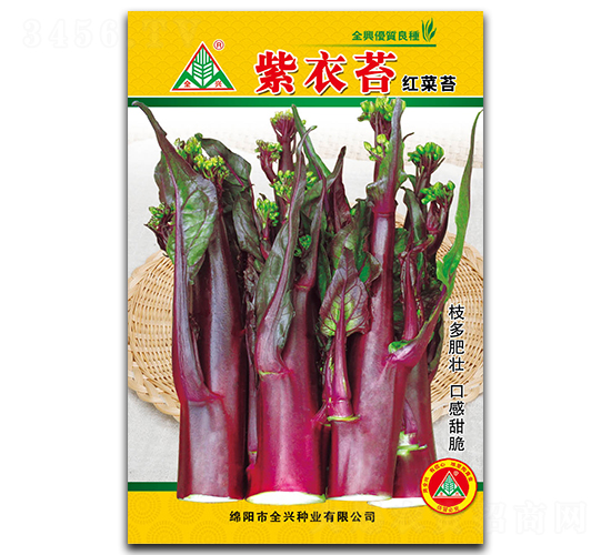 ����̦-��̦�N��-ȫ�d�N�I(y��)