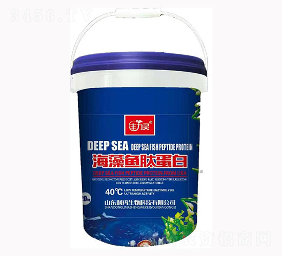 �����~�ĵ���-�S���`-��������