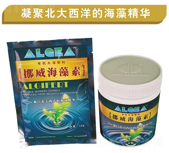 Ų��������-��ʿ�r(n��ng)�I(y��)