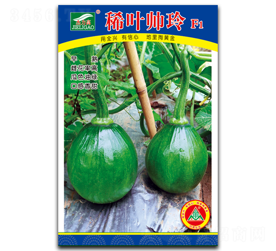 ϡ�~����-С��ϷN��-ȫ�d�N�I(y��)