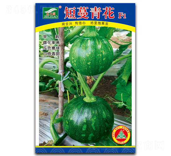 �����໨-С��ϷN��-ȫ�d�N�I(y��)