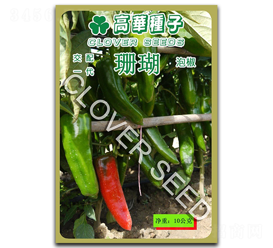 ɺ��-�ݽ��N��-���ڷN��