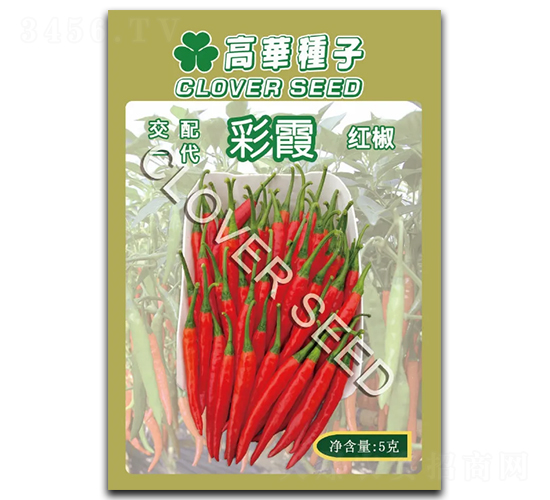 ��ϼ-�����N��-���ڷN��