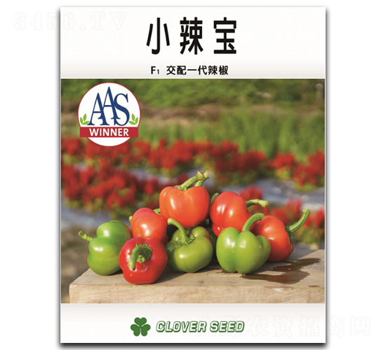 С����-�����N��-���ڷN��