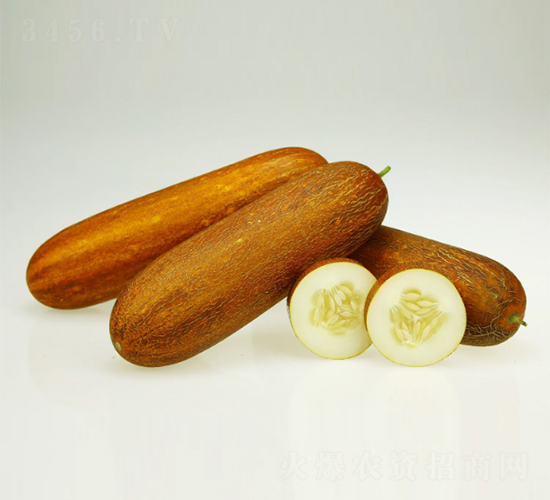 �����-���S�ϷN��-���ڷN��