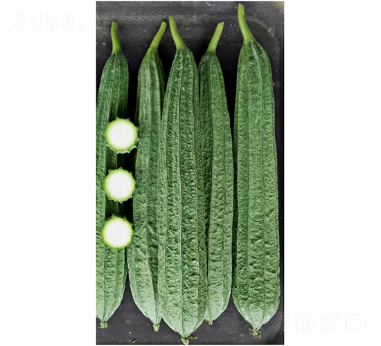 �A��-�z�ϷN��-���ڷN��