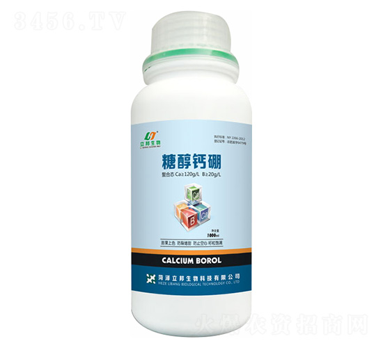 �Ǵ��}��-��������