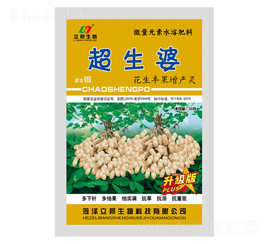 �����S�����a(ch��n)�`-������-��������