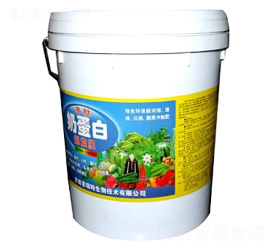 �����̵���-�|���S