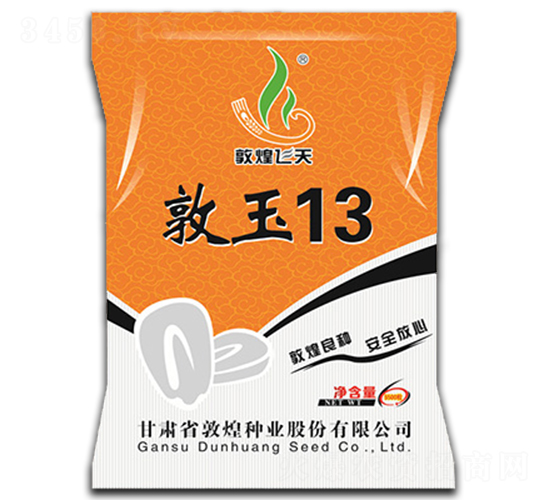 ����13-���׷N��-�ػͷN�I(y��)