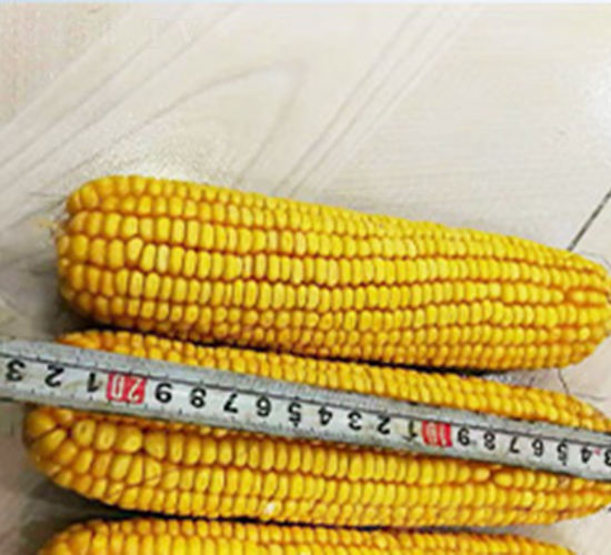 ���122-���׷N��-��N�I(y��)