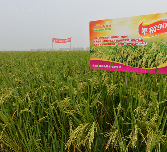 ����906-ˮ���N��-��N�I(y��)