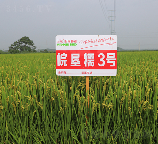 �Ŵ3̖(h��o)-ˮ���N��-��N�I(y��)