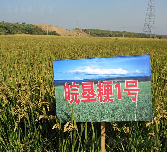 ���1̖(h��o)-ˮ���N��-��N�I(y��)