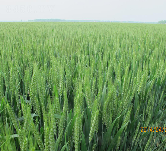 ���0901-С���N��-��N�I(y��)