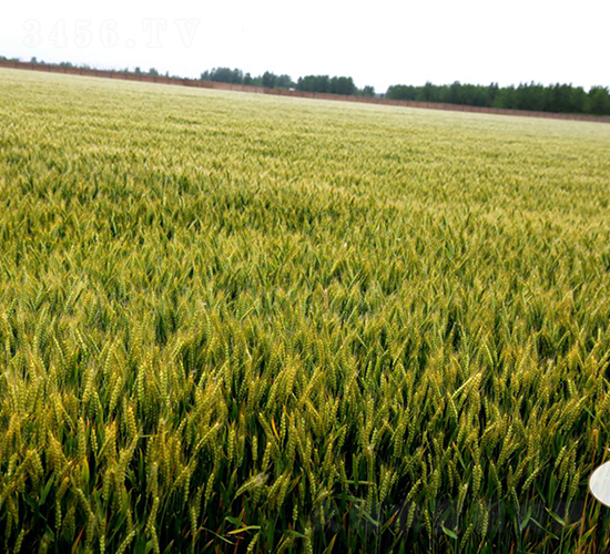 ���0622-С���N��-��N�I(y��)