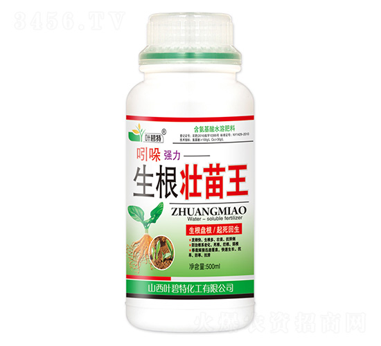 ���Ꮚ������������-�~����