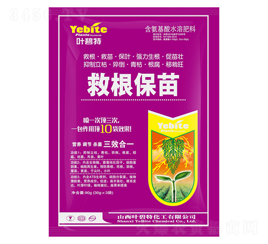 �ȸ�����-�~����