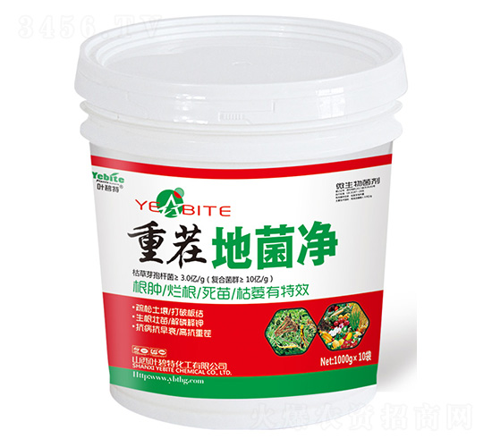 �ز�ؾ���-�~����