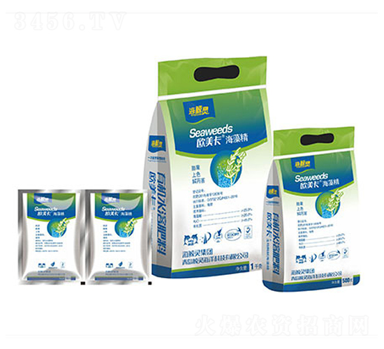 �W�������徫�M��-���L�`