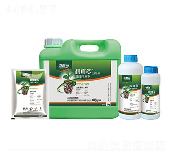 ����ຣ��������-���L�`