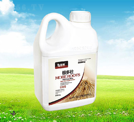 ������-����