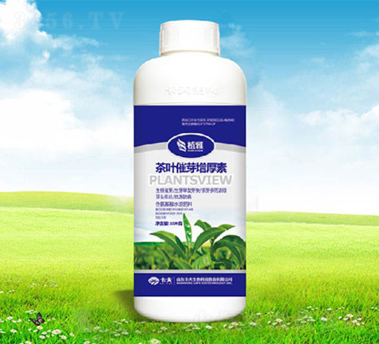 ���~��ѿ�ߺ���-����